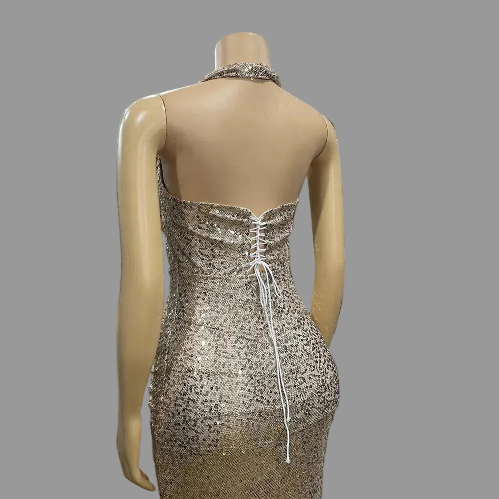 Halter Sequin Maxi Dress Women's Clothing Luxe Dinner Party Prom Evening Dress