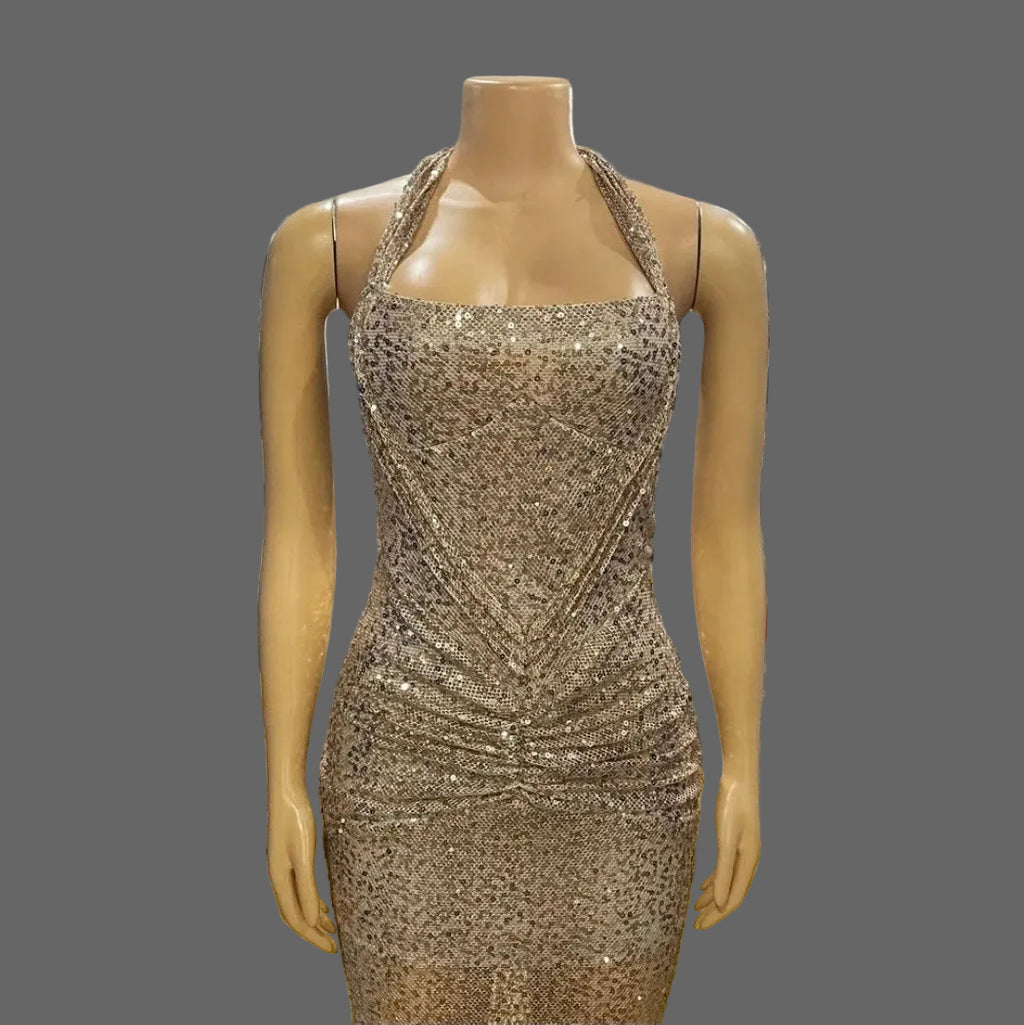 Halter Sequin Maxi Dress Women's Clothing Luxe Dinner Party Prom Evening Dress